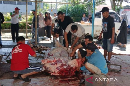 Pemkab Temanggung terjunkan 170 petugas pantau penyembelihan hewan kurban