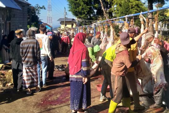Warga Batur  Banjarnegara gelar tradisi sembelih 720 hewan kurban