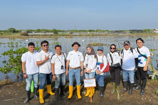 Penanaman 200 ribu mangrove di pesisir  Jateng