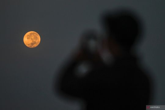 Fenomena Strawberry Moon di Malang