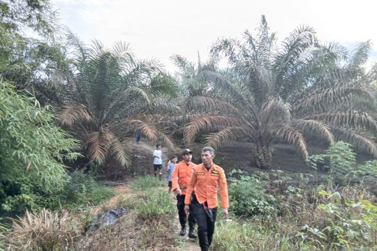Seorang pemuda berkebutuhan khusus hilang di perkebunan sawit Bangka Barat