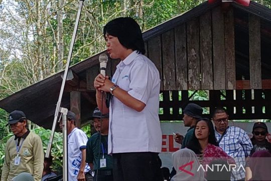 KPH : Tanaman kopi ideal untuk pengelolaan hutan lestari