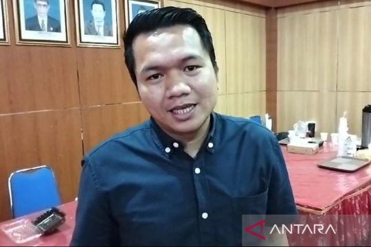 DPRD Palangka Raya minta pemerintah perhatikan perajin agar menembus pasar nasional
