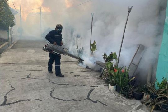 Pemkot Pekalongan  intensifkan penguatan PSN cegah penyebaran DBD