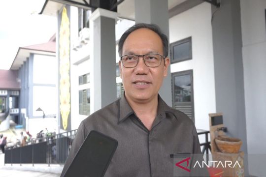 Legislator Palangka Raya sebut posyandu berperan cegah kematian ibu dan anak