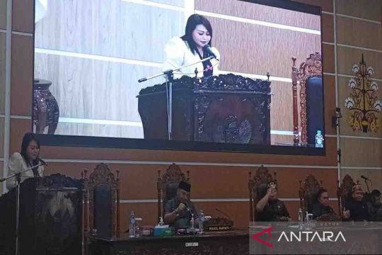 Fraksi NasDem DPRD Kapuas soroti lonjakan tarif pembayaran PDAM