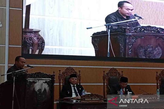 Fraksi PDIP DPRD Kapuas minta perangkat daerah pacu program kegiatan