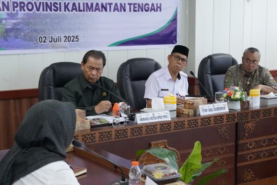Komisi III DPRD Kalteng tekankan pentingnya upaya promotif-preventif penyakit katastropik