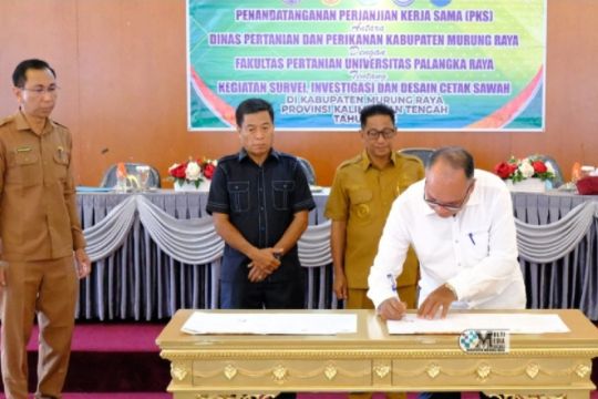Pemkab Murung Raya siapkan 1.400 hektare lahan untuk cetak sawah
