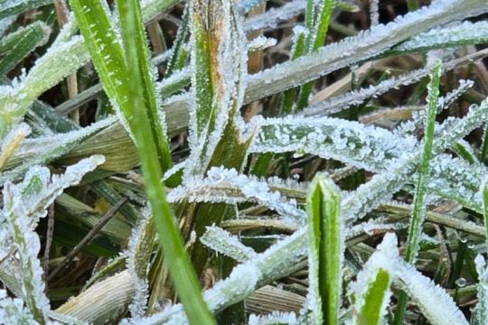 Suhu di Dieng capai minus 2 derajat celcius