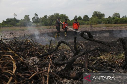 Upaya pemadaman kebakaran lahan gambut di Palangka Raya