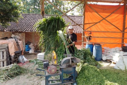 KUR BRI bawa Tommy jadi supplier pakan ternak asal Ponorogo