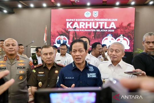 Delapan perusahaan konsesi hutan Kalsel diduga terlibat karhutla