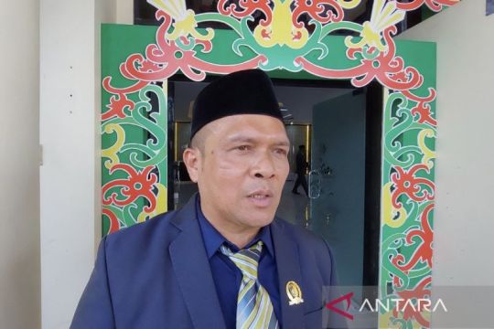 Legislator Palangka Raya tekankan pentingnya pemulihan gambut