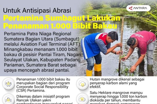 Untuk antisipasi abrasi Pertamina Sumbagut lakukan penanaman 1.000 bibit bakau