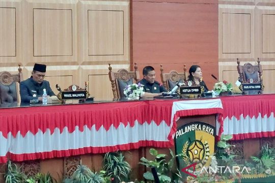 Ketua DPRD Palangka Raya perjuangkan pengaspalan Jalan Sakan