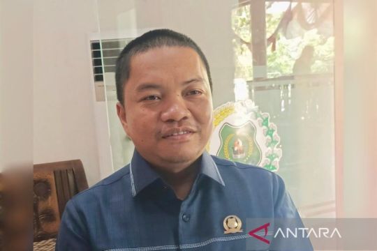 DPRD apresiasi langkah cepat Pemkab Kapuas tangani banjir