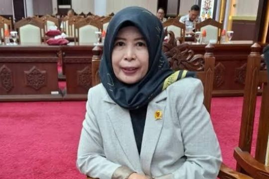 DPRD Kalteng minta pemerintah optimalisasi PAD dari sektor pertambangan