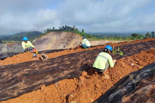 Pupuk hayati Unsoed suburkan kembali lahan bekas tambang di Nunukan