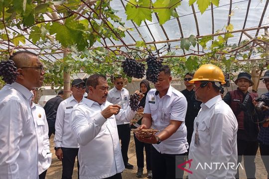 Pakar Unsoed:  Nusakambangan potensial kembangkan "food estate"