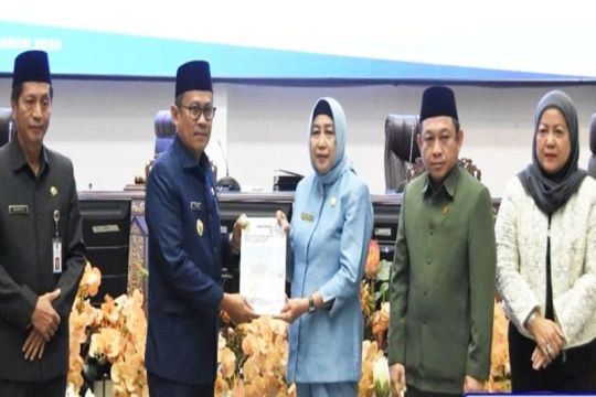 Pemkab Barut sampaikan rancangan perubahan KUA PPAS 2025