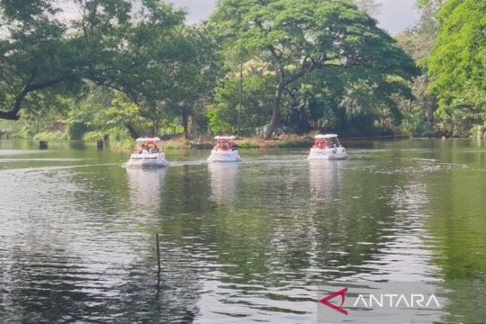 Solo Safari tambah wahana permainan untuk tarik pengunjung