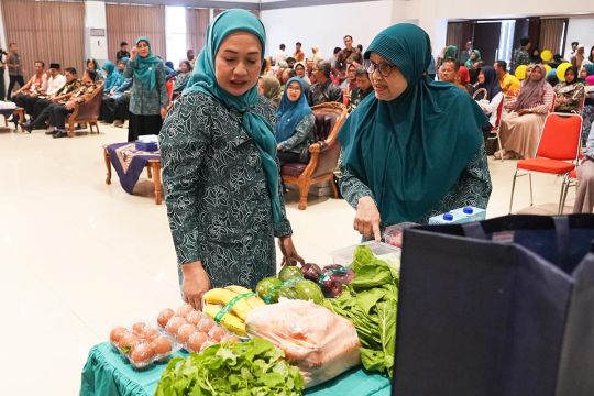 Disperpa Kota Magelang ajak warga peduli ketahanan pangan