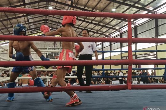 235 atlet  kickboxing ikut babak kualifikasi Porprov Jateng 2025