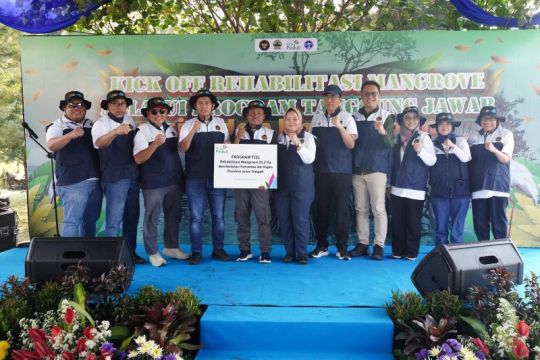 PLN bantu bibit mangrove di Pantura