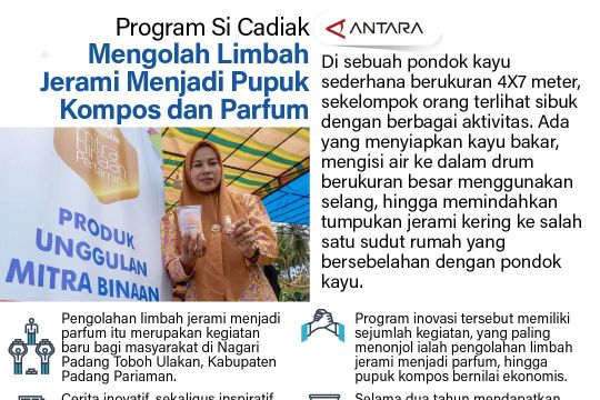 Program Si Cadiak mengolah limbah jerami menjadi pupuk kompos dan parfum