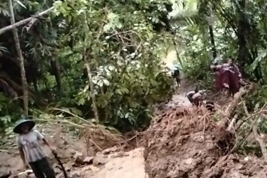 BPBD Purbalingga tangani dampak hujan deras disertai angin kencang