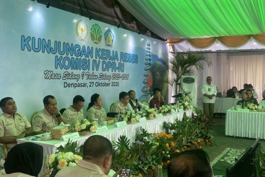 Menhut minta maaf atas pembakaran Mahkota Cenderawasih di Papua