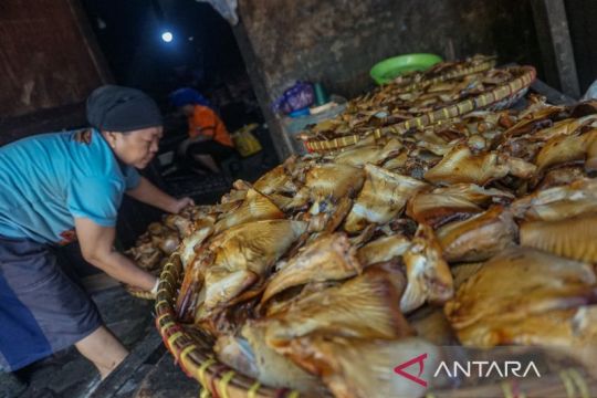 KUR jangkau 3,75 juta debitur, serap jutaan tenaga kerja