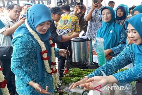 PKK Jateng dorong UMKM beradaptasi teknologi pasarkan produk