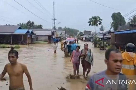 Banjir Bandang dan Longsor Tapanuli Selatan sudah renggut 32 nyawa, Batangtoru paling parah
