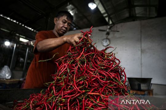 Kenaikan harga cabai merah, kacang panjang dan bawang merah picu inflasi Jateng