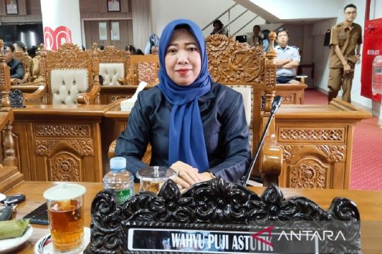 Fraksi PPP minta Raperda PSU tidak timbulkan konflik sosial