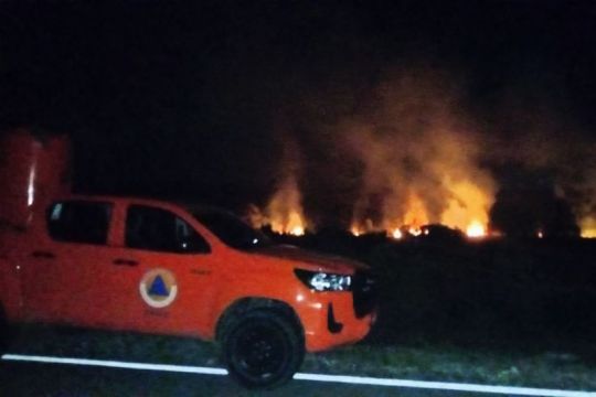 Pemkab Natuna padamkan kebakaran hutan seluas 4 hektare di Pengadah