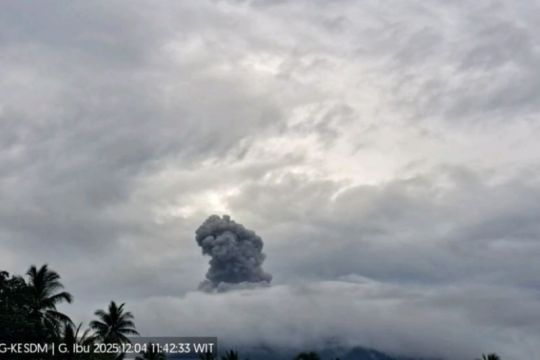 Gunung Ibu lontarkan abu hingga 600 meter