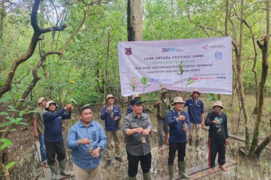 ANTARA Jambi-Pemkab Tanjab Barat tanam mangrove di Pangkal Babu