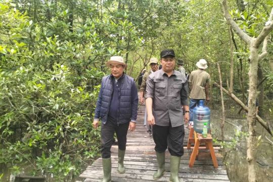 ANTARA JAMBI TANAM MANGROVE MEMENTUM HUT KE-88