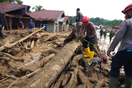 Korban meninggal akibat bencana di Agam bertambah menjadi 186 orang