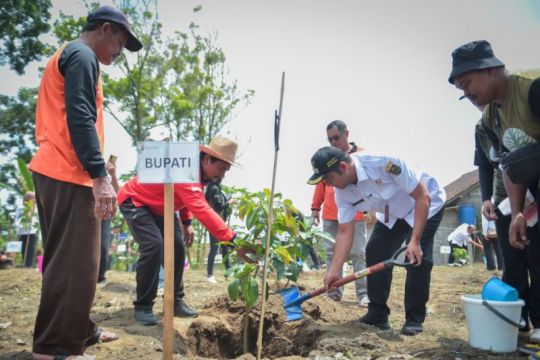Pemkab Boyolali lakukan penanaman pohon serentak pada peringatan HMPI
