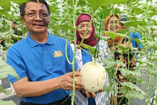 Upgris Semarang panen melon persiapan buka edupark