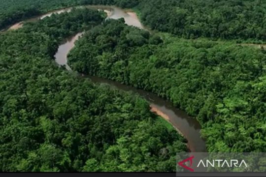 Kaltim komitmen jaga lingkungan dengan reforestasi hutan berkelanjutan