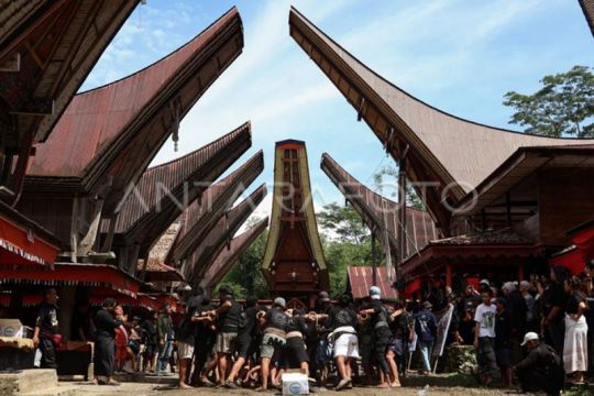 FOTO - Prosesi Ma'pasonglo di Toraja Utara