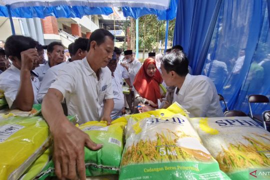 Pemkab Kudus pastikan stok beras masyarakat cukup bahkan surplus