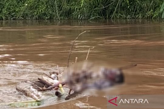 Mayat misterius ditemukan tersangkut di ranting Sungai Asem Kumbang, Katingan