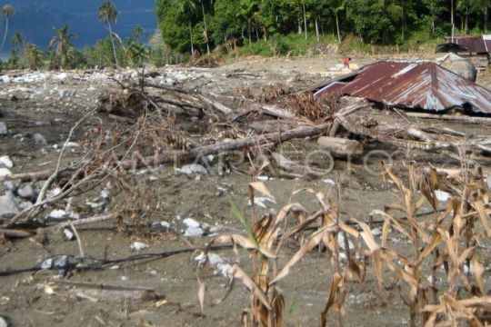 Perpanjangan masa tanggap darurat di Agam