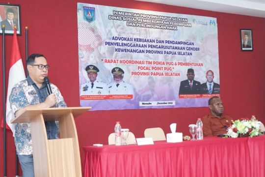 Pemprov Papua Selatan mendorong pengarusutamaan gender pada empat kabupaten